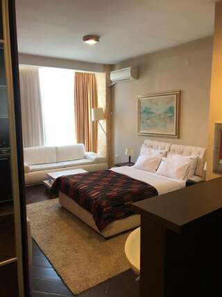 Отель Hotel Alexandar Lux Подгорица Апартаменты-студио-1